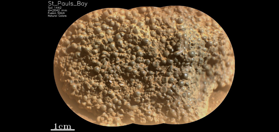 Perseverance Rover